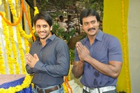 Naga Chaitanya Sunil Movie Opening